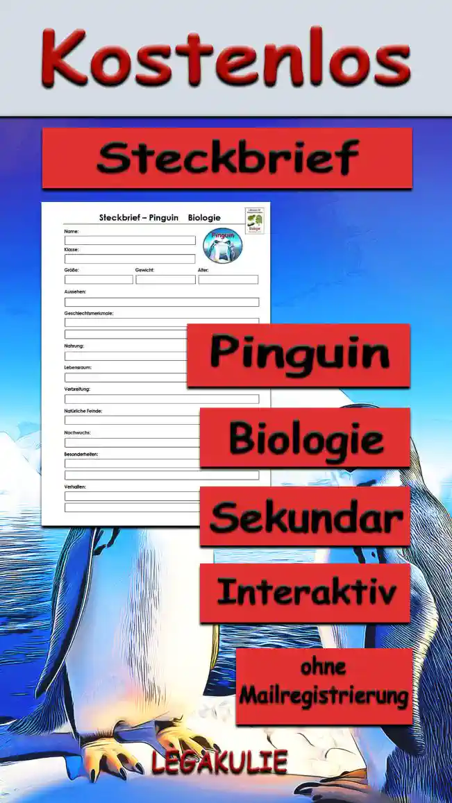 Steckbrief Pinguin Sekundar Unterrichtsmaterial - Kostenlos von Legakulie.info