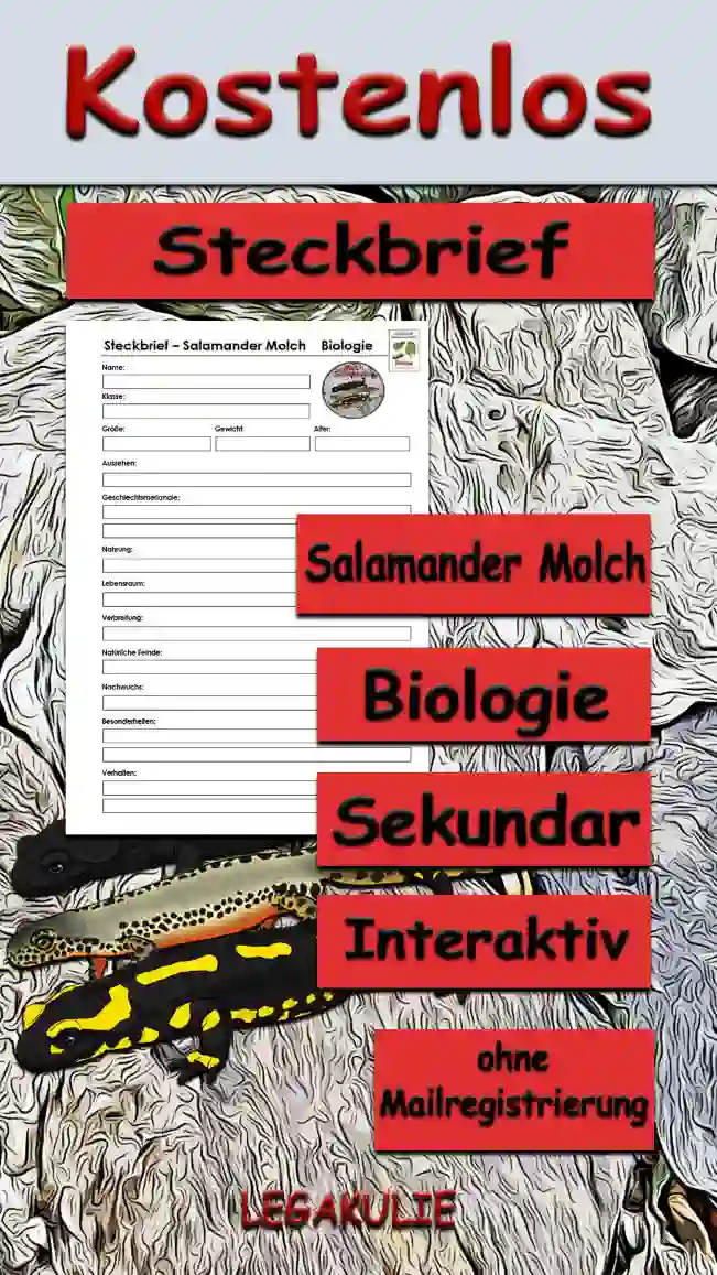 Steckbrief Salamander Molch Sekundar Unterrichtsmaterial - Kostenlos von Legakulie.info