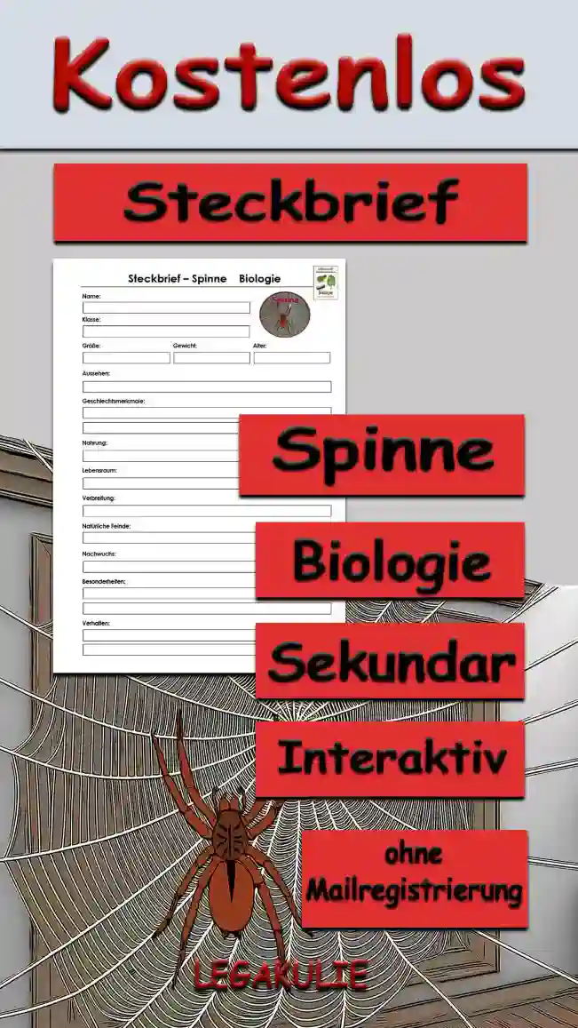 Steckbrief Spinne Sekundar Unterrichtsmaterial - Kostenlos von Legakulie.info