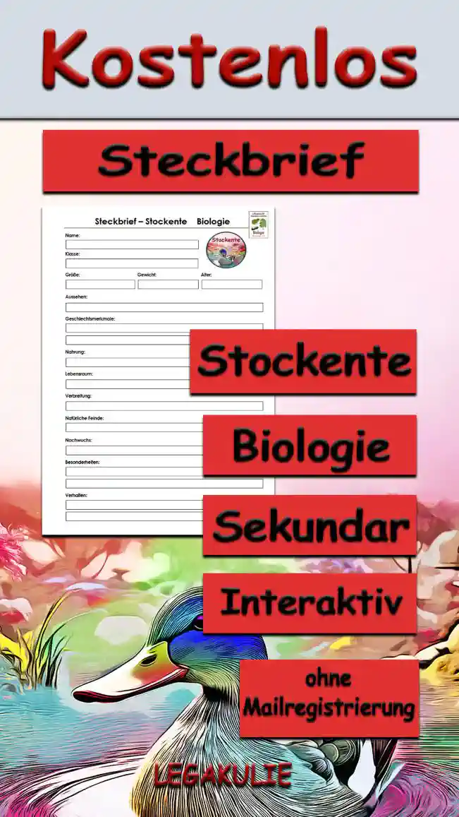 Steckbrief Stockente Sekundar Unterrichtsmaterial - Kostenlos von Legakulie.info