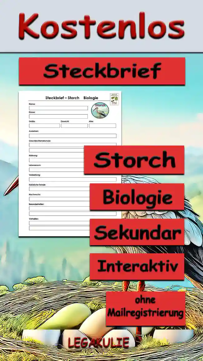 Steckbrief Storch Sekundar Unterrichtsmaterial - Kostenlos von Legakulie.info