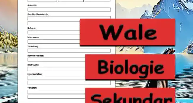 Steckbrief Wale Sekundar Unterrichtsmaterial - Kostenlos von Legakulie.info