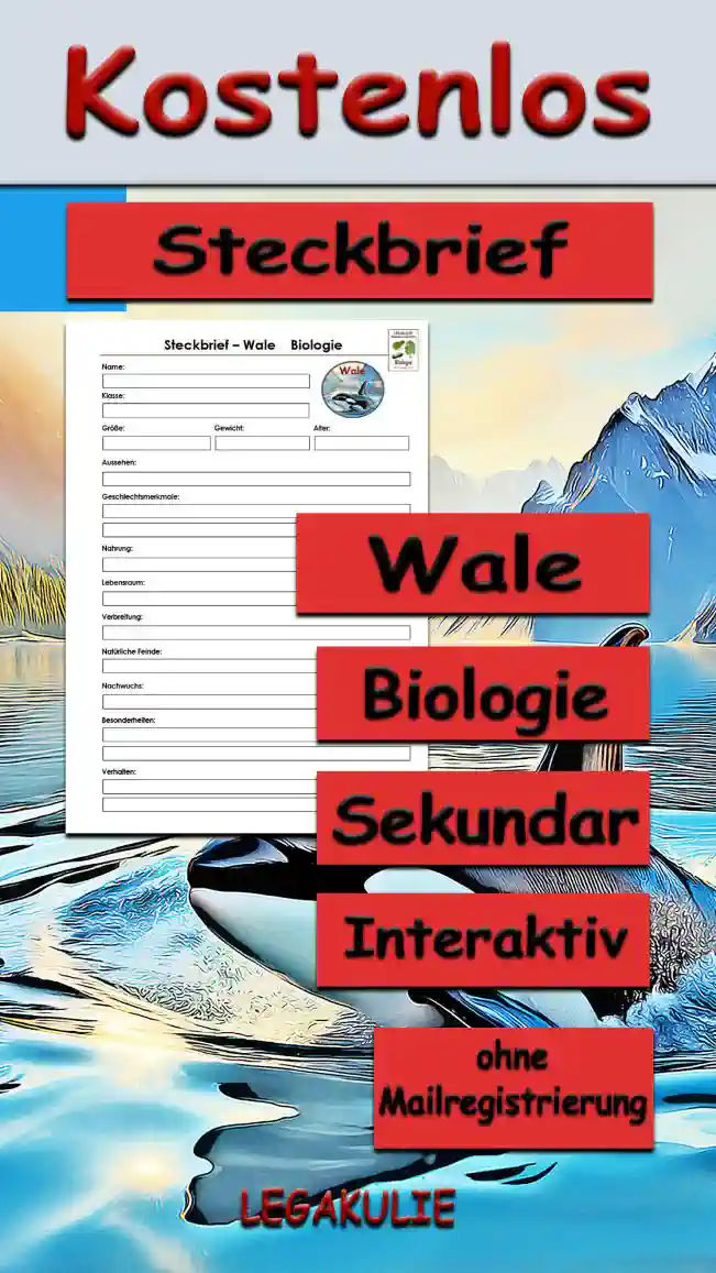 Steckbrief Wale Sekundar Unterrichtsmaterial - Kostenlos von Legakulie.info