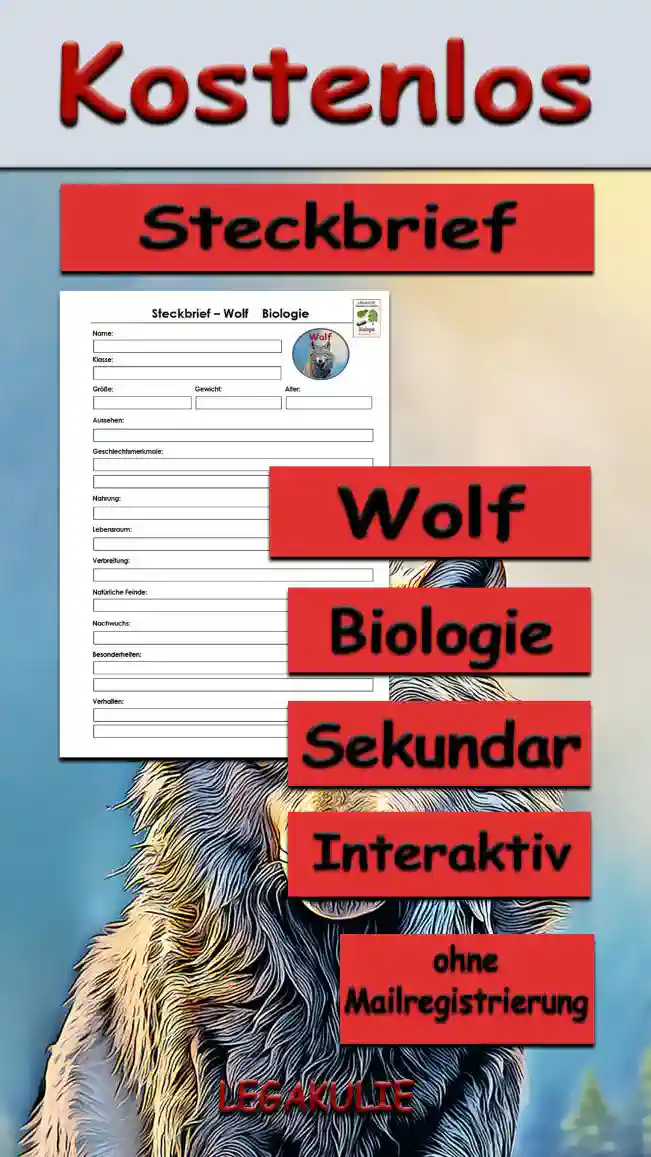 Steckbrief Wolf Sekundar Unterrichtsmaterial - Kostenlos von Legakulie.info