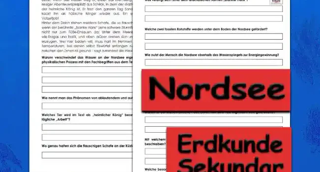 Textverständnis Nordsee Erdkunde - Kostenlos von Legakulie.info [SACHTEXT] | Die Nordsee – Schlick, Schafe und schräge Gezeiten | Willkommen an der Nordsee, dem Ort, an dem das Meer regelmäßig „Tschüss“ sagt und für ein paar Stunden einfach verschwindet. Dieses Phänomen nennen wir Ebbe und Flut. Verantwortlich dafür ist der Mond, der mit seiner Schwerkraft an unserem Wasser zerrt wie ungeduldiger Hund an der Leine. Wenn das Wasser weg ist, bleibt das Watt übrig – ein riesiger Abenteuerspielplatz aus Schlick, in dem der Wattwurm der heimliche König ist. Er frisst den ganzen Tag Sand und kackt ihn als hübsche Kringel wieder aus. Ein echter Vollzeitjob! | Hinter dem Deich stehen meistens Schafe, die so flauschig sind, dass sie fast wegfliegen, wenn der berühmte „blanke Hans“ (eine schwere Sturmflut) anklopft. Die Nordsee ist aber nicht nur zum Füße-Einsauen da: Unter dem Meeresgrund lagern riesige Schätze wie Erdgas und Erdöl, und oben drüber drehen sich unzählige Windräder, um Strom zu erzeugen. Wer hier baden will, muss hart im Nehmen sein, denn das Wasser hat oft Temperaturen, bei denen selbst Eiswürfel anfangen zu zittern. Aber hey, der Matsch zwischen den Zehen ist gesund – sagt zumindest die Wissenschaft! || [FRAGEN UND LÖSUNGEN] | 1. Warum verschwindet das Wasser an der Nordsee eigentlich regelmäßig? Erkläre den physikalischen Prozess mit den Fachbegriffen aus dem Text. | Lösung: Das Wasser verschwindet aufgrund der Ebbe. Der Prozess wird durch die Schwerkraft des Mondes verursacht, die das Wasser der Meere wie einen Magneten anzieht. | 2. Wie nennt man das Phänomen von ablaufendem und auflaufendem Wasser insgesamt? | Lösung: Dieses Phänomen nennt man Ebbe und Flut (oder Gezeiten). | 3. Welches Tier wird im Text als „heimlicher König“ bezeichnet und worin besteht seine tägliche „Arbeit“? | Lösung: Der Wattwurm ist der König des Watts. Seine Arbeit besteht darin, Sand zu fressen und diesen als Sandkringel wieder auszuscheiden. | 4. Wo genau halten sich die flauschigen Schafe an der Küste meistens auf? | Lösung: Die Schafe stehen meistens hinter dem Deich. | 5. Was verbirgt sich hinter dem dramatischen Namen „Blanker Hans“? | Lösung: „Blanker Hans“ ist ein norddeutscher Name für eine schwere, gefährliche Sturmflut. | 6. Welche zwei fossilen Rohstoffe werden unter dem Boden der Nordsee gefördert? | Lösung: Unter dem Meeresgrund der Nordsee werden Erdgas und Erdöl gefördert. | 7. Wie nutzt der Mensch die Nordsee oberhalb des Wasserspiegels zur Energiegewinnung? | Lösung: Durch unzählige Windräder, die auf dem Meer stehen, wird die Windkraft zur Stromerzeugung genutzt. | 8. Warum müssen Menschen, die in der Nordsee baden wollen, laut Text „hart im Nehmen“ sein? | Lösung: Weil das Wasser oft sehr niedrige Temperaturen hat (so kalt, dass selbst Eiswürfel zittern würden). | 9. Warum ist der Matsch zwischen den Zehen laut dem Text eigentlich eine gute Sache? | Lösung: Der Matsch (das Watt) ist gesund – das sagt zumindest die Wissenschaft. | 10. Mit welchem Tier wird der Mond im Text verglichen, um seine Anziehungskraft zu beschreiben? | Lösung: Er wird mit einem ungeduldigen Hund verglichen, der an einer Leine zerrt. | 11. Welche besondere Form hinterlässt der Wattwurm im Sand, nachdem er seine „Arbeit“ erledigt hat? | Lösung: Er hinterlässt im Watt hübsche kleine Sandkringel.