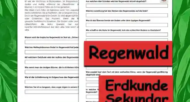Textverständnis Regenwald Erdkunde - Kostenlos von Legakulie.info [SACHTEXT] | Tropischer Regenwald – Das feuchte Hochhaus der Natur | Der tropische Regenwald ist das Gegenteil deines Kinderzimmers: Er räumt sich selbst auf, ist unglaublich grün und es regnet jeden Tag – was die Pflanzen dort lieben. Man nennt ihn die „Grüne Lunge“ der Erde, weil er gigantische Mengen CO2 schluckt und Sauerstoff ausspuckt. Der Aufbau ist wie ein Hochhaus in Stockwerken. Im Erdgeschoss ist es dunkel und muffig, während die „Überständer“ (riesige Bäume) in 60 Metern Höhe die Sonne genießen. | Hier leben mehr Arten als irgendwo sonst: Von Jaguaren, die lautlos schleichen, bis zu Faultieren, die so langsam sind, dass Algen in ihrem Fell wachsen. Doch der Regenwald ist in Gefahr. Er wird abgeholzt für Rinderweiden, Palmöl-Plantagen oder Goldminen. Das Problem: Wenn der Regenwald stirbt, gerät das gesamte Weltklima ins Schwitzen. Der Boden unter dem Wald ist übrigens überraschend nährstoffarm; die Natur überlebt hier nur durch einen perfekten, rasanten Nährstoffkreislauf, bei dem alles Tote sofort wieder zu neuem Leben recycelt wird. || [FRAGEN UND LÖSUNGEN] | 1. Warum wird der tropische Regenwald im Text als „Grüne Lunge“ der Erde bezeichnet? | Lösung: Weil er gigantische Mengen CO2 schluckt und lebenswichtigen Sauerstoff für uns ausspuckt. | 2. Welches Wetterphänomen findet im Regenwald fast jeden Tag statt? | Lösung: Im Regenwald regnet es fast jeden Tag. | 3. Mit welchem Gebäude wird der Aufbau des Regenwaldes verglichen? | Lösung: Der Aufbau wird mit einem Hochhaus verglichen, das verschiedene Stockwerke besitzt. | 4. Wie nennt man die riesigen Bäume, die in 60 Metern Höhe über allen anderen thronen? | Lösung: Diese Bäume werden als „Überständer“ bezeichnet. | 5. Wie ist die Lichtstimmung im Erdgeschoss des Regenwaldes? | Lösung: Dort ist es eher dunkel und muffig. | 6. Welches Tier ist so langsam, dass sogar Algen in seinem Fell wachsen können? | Lösung: Das Faultier ist so langsam, dass dies geschieht. | 7. Aus welchen drei Gründen wird der Regenwald aktuell abgeholzt? | Lösung: Er wird für Rinderweiden, Palmöl-Plantagen oder Goldminen vernichtet. | 8. Welche Auswirkung hat das Sterben des Regenwaldes auf die Erde? | Lösung: Das gesamte Weltklima gerät dadurch „ins Schwitzen“ (es erwärmt sich). | 9. Was ist das Überraschende am Boden unter dem üppigen Regenwald? | Lösung: Der Boden ist eigentlich überraschend nährstoffarm. | 10. Wie schafft es die Natur im Regenwald, trotz des schlechten Bodens zu überleben? | Lösung: Durch einen perfekten und rasanten Nährstoffkreislauf, bei dem alles Tote sofort recycelt wird. | 11. Welches Raubtier schleicht laut Text lautlos durch den Dschungel? | Lösung: Der Jaguar schleicht lautlos durch den Regenwald. | 12. Warum wird der Regenwald im Text als das Gegenteil eines unaufgeräumten Kinderzimmers beschrieben? | Lösung: Weil der Regenwald sich ganz von alleine aufräumt und ein perfektes Recyclingsystem besitzt. | 13. Was passiert laut dem Text mit dem weltweiten Klima, wenn der Regenwald großflächig abgeholzt wird? | Lösung: Das gesamte Weltklima gerät „ins Schwitzen“, was bedeutet, dass sich die Erde weiter erwärmt. | 14. In welcher Höhe genießen die riesigen „Überständer-Bäume“ die Sonne über dem Regenwald? | Lösung: Diese Bäume erreichen eine Höhe von etwa 60 Metern. | 15. Welche Besonderheit entwickelt sich im Fell der Faultiere, weil sie sich so extrem langsam bewegen? | Lösung: Da Faultiere so langsam sind, wachsen in ihrem Fell sogar Algen.