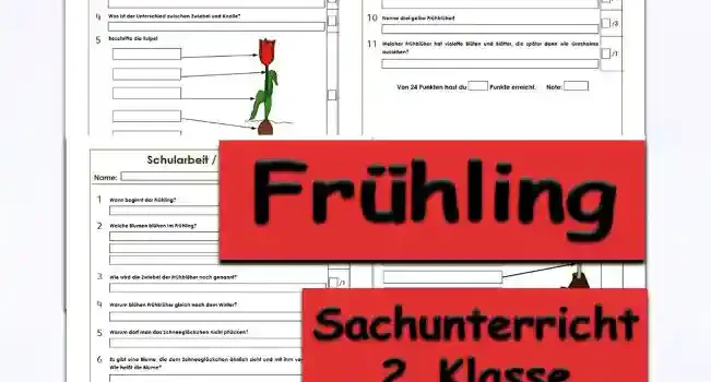 Arbeitsblatt Klassenarbeit Frühling - Kostenloses Unterrichtsmaterial von Legakulie.info. (KLASSENARBEIT) | Sachunterricht 2. Klasse – Kostenlose Schularbeiten, Lernzielkontrollen und Testbögen (Gruppe A und Gruppe B) zum Thema Frühling und Frühblüher auf Legakulie.info | Klassenarbeit 1 (Fokus Tulpe): Lies die Aufgaben sorgfältig durch. Schreibe die Antworten zu den jeweiligen Fragen/Aufgaben. 1. Was sind Frühblüher? | 2. Die Frühblüher haben einen Vorratsspeicher, der es ihnen ermöglicht, einen Vorrat an Nahrung anzulegen. Wie heißen die Vorratsspeicher der Pflanzen? | 3. Wie heißt der Nährstoff, der in der Zwiebel enthalten ist? | 4. Was ist der Unterschied zwischen Zwiebel und Knolle? | 5. Beschrifte die Tulpe! | 6. Welche Aufgaben haben die Pflanzenteile? | 7. Wie werden Pflanzen genannt, die eine Zwiebel haben? | 8. In welchen Monaten blüht die Tulpe? | 9. Wie vermehren sich Tulpen? | 10. Nenne drei gelbe Frühblüher! | 11. Welcher Frühblüher hat violette Blüten und Blätter, die später dann wie Grashalme aussehen? | Von 24 Punkten hast du Punkte erreicht. Note: | Klassenarbeit 2 (Fokus Schneeglöckchen): Lies die Aufgaben sorgfältig durch. Schreibe die Antworten zu den jeweiligen Fragen/Aufgaben. 1. Wann beginnt der Frühling? | 2. Welche Blumen blühen im Frühling? | 3. Wie wird die Zwiebel der Frühblüher noch genannt? | 4. Warum blühen Frühblüher gleich nach dem Winter? | 5. Warum darf man das Schneeglöckchen nicht pflücken? | 6. Es gibt eine Blume, die dem Schneeglöckchen ähnlich sieht und mit ihm verwandt ist. Wie heißt die Blume? | 7. Warum hat das Schneeglöckchen spitze Blätter? | 8. Warum hat das Schneeglöckchen ein Hochblatt? | 9. In welchen Monaten blüht das Schneeglöckchen? | 10. Beschrifte das Schneeglöckchen! | 11. Welche Aufgaben haben die Pflanzenteile?