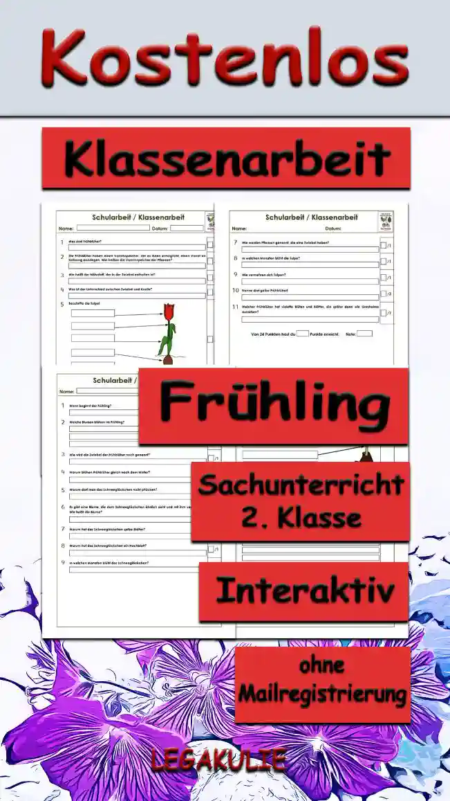 Arbeitsblatt Klassenarbeit Frühling - Kostenloses Unterrichtsmaterial von Legakulie.info. (KLASSENARBEIT) | Sachunterricht 2. Klasse – Kostenlose Schularbeiten, Lernzielkontrollen und Testbögen (Gruppe A und Gruppe B) zum Thema Frühling und Frühblüher auf Legakulie.info | Klassenarbeit 1 (Fokus Tulpe): Lies die Aufgaben sorgfältig durch. Schreibe die Antworten zu den jeweiligen Fragen/Aufgaben. 1. Was sind Frühblüher? | 2. Die Frühblüher haben einen Vorratsspeicher, der es ihnen ermöglicht, einen Vorrat an Nahrung anzulegen. Wie heißen die Vorratsspeicher der Pflanzen? | 3. Wie heißt der Nährstoff, der in der Zwiebel enthalten ist? | 4. Was ist der Unterschied zwischen Zwiebel und Knolle? | 5. Beschrifte die Tulpe! | 6. Welche Aufgaben haben die Pflanzenteile? | 7. Wie werden Pflanzen genannt, die eine Zwiebel haben? | 8. In welchen Monaten blüht die Tulpe? | 9. Wie vermehren sich Tulpen? | 10. Nenne drei gelbe Frühblüher! | 11. Welcher Frühblüher hat violette Blüten und Blätter, die später dann wie Grashalme aussehen? | Von 24 Punkten hast du Punkte erreicht. Note: | Klassenarbeit 2 (Fokus Schneeglöckchen): Lies die Aufgaben sorgfältig durch. Schreibe die Antworten zu den jeweiligen Fragen/Aufgaben. 1. Wann beginnt der Frühling? | 2. Welche Blumen blühen im Frühling? | 3. Wie wird die Zwiebel der Frühblüher noch genannt? | 4. Warum blühen Frühblüher gleich nach dem Winter? | 5. Warum darf man das Schneeglöckchen nicht pflücken? | 6. Es gibt eine Blume, die dem Schneeglöckchen ähnlich sieht und mit ihm verwandt ist. Wie heißt die Blume? | 7. Warum hat das Schneeglöckchen spitze Blätter? | 8. Warum hat das Schneeglöckchen ein Hochblatt? | 9. In welchen Monaten blüht das Schneeglöckchen? | 10. Beschrifte das Schneeglöckchen! | 11. Welche Aufgaben haben die Pflanzenteile?