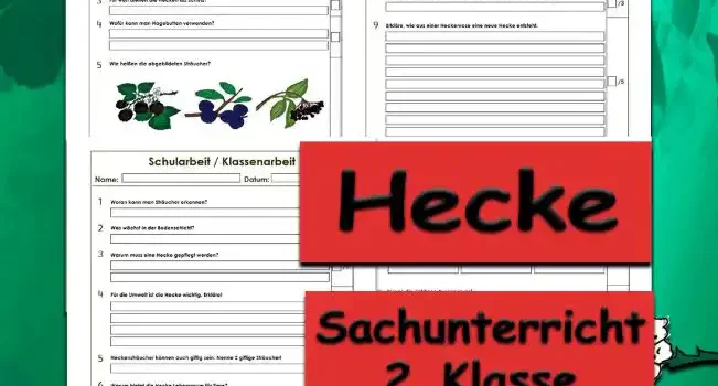 Arbeitsblatt Klassenarbeit Hecke - Kostenloses Unterrichtsmaterial von Legakulie.info.