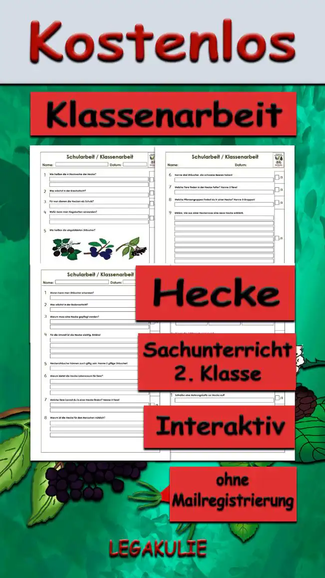 Arbeitsblatt Klassenarbeit Hecke - Kostenloses Unterrichtsmaterial von Legakulie.info. (KLASSENARBEIT) | Sachunterricht 2. Klasse – Kostenlose Schularbeiten, Lernzielkontrollen und Testbögen (Gruppe A und Gruppe B) zum Thema Die Hecke und ihre Stockwerke auf Legakulie.info | Klassenarbeit 1 (Max. 36 Punkte): Lies die Aufgaben sorgfältig durch. Schreibe die Antworten zu den jeweiligen Fragen/Aufgaben. 1. Wie heißen die 4 Stockwerke der Hecke? | 2. Was wächst in der Krautschicht? | 3. Für wen dienen die Hecken als Schutz? | 4. Wofür kann man Hagebutten verwenden? | 5. Wie heißen die abgebildeten Sträucher? | 6. Nenne drei Sträucher, die schwarze Beeren haben! | 7. Welche Tiere finden in der Hecke Futter? Nenne 3 Tiere! | 8. Welche Pflanzengruppen findest du in einer Hecke? Nenne 3 Gruppen! | 9. Erkläre, wie aus einer Heckenrose eine neue Hecke entsteht. | 10. Schreibe eine Nahrungskette zur Hecke auf! | Von 36 Punkten hast du Punkte erreicht. Note: | Klassenarbeit 2 (Max. 34 Punkte): Lies die Aufgaben sorgfältig durch. Schreibe die Antworten zu den jeweiligen Fragen/Aufgaben. 1. Woran kann man Sträucher erkennen? | 2. Was wächst in der Bodenschicht? | 3. Warum muss eine Hecke gepflegt werden? | 4. Für die Umwelt ist die Hecke wichtig. Erkläre! | 5. Heckensträucher können auch giftig sein. Nenne 2 giftige Sträucher! | 6. Warum bietet die Hecke Lebensraum für Tiere? | 7. Welche Tiere kannst du in einer Hecke finden? Nenne 5 Tiere! | 8. Nenne drei Produkte, die der Mensch aus Heckenpflanzen herstellen kann! | 9. Wie heißen diese Früchte der Hecke? | 10. Kreuze die richtigen Aussagen an! | 11. Schreibe eine Nahrungskette zur Hecke auf! | 12. Aus manchen Früchten kann man Tee und Marmelade herstellen. Aus welchen? | 13. Nenne drei Sträucher, die rote Beeren haben!