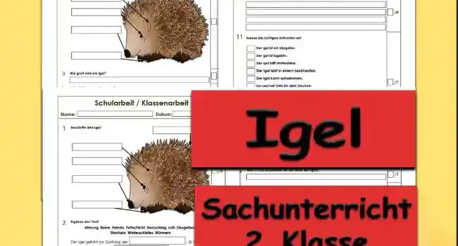 Arbeitsblatt Klassenarbeit Igel - Kostenloses Unterrichtsmaterial von Legakulie.info.