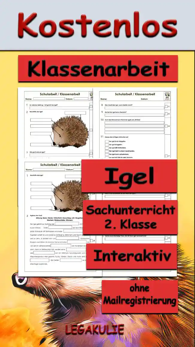 Arbeitsblatt Klassenarbeit Igel - Kostenloses Unterrichtsmaterial von Legakulie.info. (KLASSENARBEIT) | Sachunterricht 2. Klasse – Kostenlose Schularbeiten, Lernzielkontrollen und Testbögen (Gruppe A und Gruppe B) zum Thema Der Igel auf Legakulie.info | Klassenarbeit 1 (Max. 28 Punkte): Lies die Aufgaben sorgfältig durch. Schreibe die Antworten zu den jeweiligen Fragen/Aufgaben. 1. Zu welcher Gattung / Art gehört der Igel? | 2. Beschrifte den Igel! | 3. Wie groß wird ein Igel? | 4. Wie alt können Igel werden? | 5. Warum verhungert der Igel im Winter nicht? | 6. Was frisst der Igel? | 7. Wann schläft der Igel? | 8. Was macht der Igel, wenn Gefahr droht? | 9. Wo hat der Igel keine Stacheln? | 10. Auch der Mensch kann Feind des Igels sein. Erkläre! | 11. Kreuze die richtigen Antworten an! | Von 28 Punkten hast du Punkte erreicht. Note: | Klassenarbeit 2 (Max. 28 Punkte): Lies die Aufgaben sorgfältig durch. Schreibe die Antworten zu den jeweiligen Fragen/Aufgaben. 1. Beschrifte den Igel! | 2. Ergänze den Text! | 3. Welche Lebensräume bevorzugen die Igel? | 4. Beschreibe das Aussehen des Igels! | 5. Was ist das besondere an der Nase des Igels? | 6. Was trinken Igel? | 7. Welche Plagegeister können den Igel befallen? | 8. Wie viele Junge bringt ein Weibchen auf die Welt? | 9. Du hast einen kleinen Igel gefunden, der geschwächt ist. Womit kannst du ihn füttern? | 10. Womit darfst du ihn nicht füttern? | 11. Nenne zwei stachelige Tiere, die mit dem Igel verwandt sind! | 12. Was machst du, wenn du bei eisiger Kälte einen Igel findest? | 13. Wie findet er seine Nahrung?