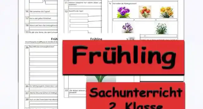 Arbeitsblatt Übungsfragen Frühling - Kostenloses Unterrichtsmaterial von Legakulie.info. (ÜBUNGSFRAGEN)| Sachunterricht 2. Klasse – Kostenlose anspruchsvolle Übungsfragen und Kopiervorlagen zum Thema Frühling und Frühblüher auf Legakulie.info | 1. Wann beginnt der Frühling? | 2. Was sind Frühblüher? | 3. Welche Blumen blühen im Frühling? | 4. Wie heißen die Frühlingsblumen? | 5. Die Frühblüher haben einen Vorratsspeicher, der es ihnen ermöglicht, einen Vorrat an Nahrung anzulegen. Wie heißen die Vorratsspeicher der Pflanzen? | 6. Wie wird die Zwiebel der Frühblüher noch genannt? | 7. Wie heißt der Nährstoff, der in der Zwiebel enthalten ist? | 8. Warum blühen Frühblüher gleich nach dem Winter? | 9. Was ist der Unterschied zwischen Zwiebel und Knolle? | 10. Wie werden Pflanzen genannt, die eine Zwiebel haben? | 11. Welcher Frühblüher hat violette Blüten und Blätter, die später dann wie Grashalme aussehen? | 12. Beschrifte die Tulpe! | 13. Welche Aufgaben haben die Pflanzenteile? | 14. In welchen Monaten blüht die Tulpe? | 15. Beschrifte die Tulpenblüte! | 16. Wie vermehren sich Tulpen? | 17. Nenne drei gelbe Frühblüher! | 18. Warum darf man das Schneeglöckchen nicht pflücken? | 19. Es gibt eine Blume, die dem Schneeglöckchen ähnlich sieht und mit ihm verwandt ist. Wie heißt die Blume? | 20. Warum hat das Schneeglöckchen spitze Blätter? | 21. Warum hat das Schneeglöckchen ein Hochblatt? | 22. In welchen Monaten blüht das Schneeglöckchen? | 23. Welche Farbe haben die Staubblätter der Krokusse? | 24. Nenne drei Frühlingsblumen, die eine Zwiebel haben! | 25. Beschrifte das Schneeglöckchen! | 26. Der Frühling beginnt. Woran kann man das bei den Pflanzen erkennen? | 27. Welche Sträucher blühen im Frühling? | 28. Auch an den Tieren kann man erkennen, dass der Frühling beginnt. Erkläre! | 29. Welche Monate gehören zum Frühling? | 30. Was ändert sich alles im Frühling? Nenne fünf Beispiele! | 31. Was passiert mit den Zwiebeln der Frühblüher nach der Blüte? | 32. Male die fehlenden Blüten des Schneeglöckchens ein! | 33. „Die Blüten können gelb, weißgelb oder gelb-orange sein“. Welche Blume ist gemeint?