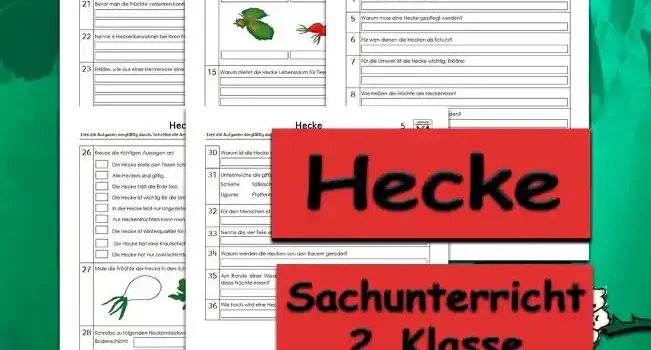 Arbeitsblatt Übungsfragen Hecke - Kostenloses Unterrichtsmaterial von Legakulie.info.
