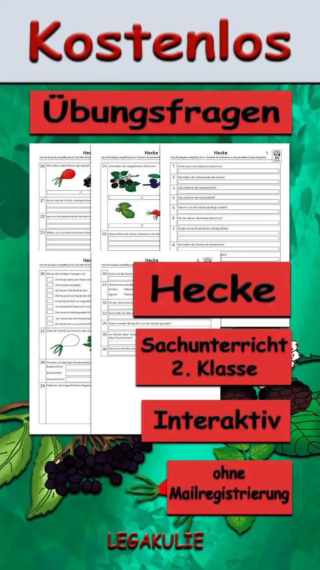 Arbeitsblatt Übungsfragen Hecke - Kostenloses Unterrichtsmaterial von Legakulie.info. (ÜBUNGSFRAGEN) | Sachunterricht 2. Klasse – Kostenlose strukturierte Vorbereitungsaufgaben, Kopiervorlagen und Übungsfragen zum Thema Die Hecke und ihre Stockwerke auf Legakulie.info | Hecke Arbeitsblätter: Lies die Aufgaben sorgfältig durch. Schreibe die Antworten zu den jeweiligen Fragen. 1. Woran kann man Sträucher erkennen? | 2. Wie heißen die 4 Stockwerke der Hecke? | 3. Was wächst in der Bodenschicht? | 4. Was wächst in der Krautschicht? | 5. Warum muss eine Hecke gepflegt werden? | 6. Für wen dienen die Hecken als Schutz? | 7. Für die Umwelt ist die Hecke wichtig. Erkläre! | 8. Wie heißen die Früchte der Heckenrose? | 9. Wofür kann man Hagebutten verwenden? | 10. Heckensträucher können auch giftig sein. Nenne 2 giftige Sträucher! | 11. Welche Heckenfrüchte sind ungiftig? | 12. Nenne 3 Sträucher, die rote Beeren haben? | 13. Nenne 3 Sträucher, die schwarze Beeren haben? | 14. Wie heißen die abgebildeten Sträucher? | 15. Warum bietet die Hecke Lebensraum für Tiere? | 16. Welche Tiere finden in der Hecke Futter? Nenne 3 Tiere! | 17. Warum ist die Hecke für den Menschen nützlich? | 18. Welche Pflanzengruppen findest du in einer Hecke? Nenne 3 Gruppen! | 19. Welche Tiere kannst du in einer Hecke finden? Nenne 5 Tiere! | 20. Wie heißen diese Früchte der Hecke? | 21. Bevor man die Früchte verzehren kann, muss man ....... | 22. Nenne 6 Heckenbewohner bei ihrem Namen! | 23. Erkläre, wie aus einer Heckenrose eine neue Hecke entsteht. | 24. Schreibe eine Nahrungskette zur Hecke auf! | 25. Aus manchen Früchten kann man Tee und Marmelade herstellen. Aus welchen? | 26. Kreuze die richtigen Aussagen an! | 27. Male die Früchte der Hecke in den richtigen Farben an! | 28. Schreibe zu folgenden Heckenstockwerken ein passendes Tier auf! | 29. Male eine durchgeschnittene Hagebutte und beschrifte sie! | 30. Warum ist die Hecke ein guter Lebensraum für den Igel? | 31. Unterstreiche die giftigen Früchte! | 32. Nenne drei Produkte, die der Mensch aus Heckenpflanzen herstellen kann! | 33. Nenne die vier Teile einer Heckenrose! | 34. Warum werden die Hecken von den Bauern gerodet? | 35. Am Rande einer Wiese sind einige Heckensträucher mit roten Früchten. Würdest du diese Früchte essen? | 36. Wie hoch wird eine Heckenrose?