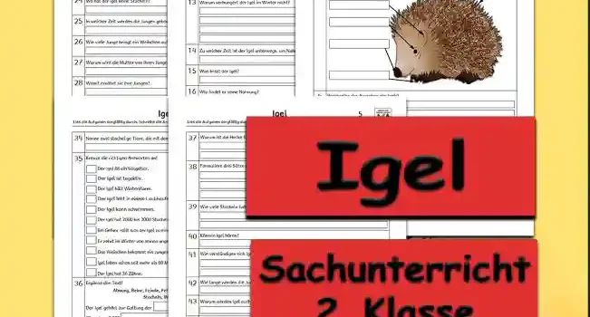 Arbeitsblatt Übungsfragen Igel - Kostenloses Unterrichtsmaterial von Legakulie.info.