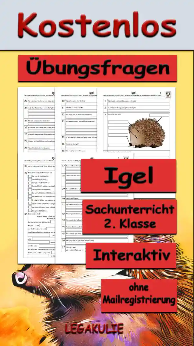 Arbeitsblatt Übungsfragen Igel - Kostenloses Unterrichtsmaterial von Legakulie.info. (ÜBUNGSFRAGEN) | Sachunterricht 2. Klasse – Kostenlose strukturierte Vorbereitungsaufgaben, Kopiervorlagen und Übungsfragen zum Thema Der Igel auf Legakulie.info | Igel Arbeitsblätter: Lies die Aufgaben sorgfältig durch. Schreibe die Antworten zu den jeweiligen Fragen. 1. Welche Lebensräume bevorzugen die Igel? | 2. Zu welcher Gattung/ Art gehört der Igel? | 3. Beschrifte den Igel! | 4. Beschreibe das Aussehen des Igels! | 5. Wie groß wird ein Igel? | 6. Wie viele Stacheln hat ein Igel? | 7. Wie alt können Igel werden? | 8. Was ist das Besondere an der Nase des Igels? | 9. Was macht der Igel im Winter? | 10. Wo verbringt er den Winter? | 11. Womit baut er sein Nest? | 12. Wie lange hält er seinen Winterschlaf? | 13. Warum verhungert der Igel im Winter nicht? | 14. Zu welcher Zeit ist der Igel unterwegs, um Nahrung zu suchen? | 15. Was frisst der Igel? | 16. Wie findet er seine Nahrung? | 17. Was trinken Igel? | 18. Wann schläft der Igel? | 19. Welche Plagegeister können den Igel befallen? | 20. Welche Feinde hat der Igel? | 21. Was macht der Igel, wenn Gefahr droht? | 22. Vor welchen Feinden kann er sich nicht schützen? | 23. Auch der Mensch kann ein Feind des Igels sein. Erkläre! | 24. Wo hat der Igel keine Stacheln? | 25. In welcher Zeit werden die Jungen geboren? | 26. Wie viele Junge bringt ein Weibchen auf die Welt? | 27. Warum wird die Mutter von ihren Jungen nicht verletzt? | 28. Womit ernährt sie ihre Jungen? | 29. Wenn kleine Igel zu spät geboren werden, können sie sterben. Erkläre! | 30. Du hast einen kleinen Igel gefunden, der geschwächt ist. Womit kannst du ihn füttern? | 31. Womit darfst du ihn nicht füttern? | 32. Ab welchem Gewicht müssen hilflose Igel gefüttert werden? | 33. Was machst du, wenn du bei eisiger Kälte einen Igel findest? | 34. Nenne zwei stachelige Tiere, die mit dem Igel verwandt sind! | 35. Kreuze die richtigen Antworten an! | 36. Ergänze den Text! | 37. Warum ist die Hecke für den Igel ein guter Lebensraum? Nenne zwei Gründe! | 38. Formuliere drei Sätze mit Informationen über Igelbabys. | 39. Wie viele Stacheln hat ein Igelbaby? | 40. Können Igel hören? | 41. Wie verständigen sich Igel? | 42. Wie lange werden die Jungen von ihrer Mutter gesäugt? | 43. Warum werden Igel auch Kulturfolger genannt? | 44. Welcher Osterbrauch ist für den Igel gefährlich? Erkläre! | 45. Wie wird der Igel in der Wissenschaft genannt? | 46. Wie lange gibt es Igel schon auf der Erde? | 47. Fülle die Lücken: Igel werden oft geplagt von