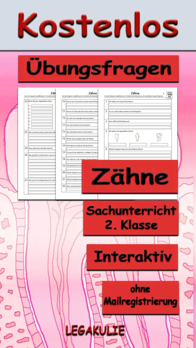 Arbeitsblatt Übungsfragen Zähne - Kostenloses Unterrichtsmaterial von Legakulie.info. (ÜBUNGSFRAGEN) | Sachunterricht 2. Klasse – Kostenlose strukturierte Vorbereitungsaufgaben, Kopiervorlagen und Übungsfragen zum Thema Die Zähne auf Legakulie.info | Zähne Arbeitsblätter: Lies die Aufgaben sorgfältig durch. Schreibe die Antworten zu den jeweiligen Fragen. 1. Wie heißen die ersten Kinderzähne? | 2. Aus wie vielen Zähnen besteht das Milchgebiss? | 3. Wann fällt ein Milchzahn aus? | 4. Wie heißen die abgebildeten Zähne? | 5. Welche Aufgaben haben die verschiedenen Zähne? | 6. Wo sitzen die Schneidezähne in unserem Mund? | 7. Wo sitzen die Eckzähne in unserem Mund? | 8. Wo sitzen die Backenzähne in unserem Mund? | 9. Nach den Milchzähnen kommen die bleibenden Zähne. Wie viele Zähne hat unser Gebiss als Erwachsene? | 10. Was ist der Unterschied zwischen dem Milchgebiss und dem Gebiss eines Erwachsenen? | 11. Können die Zähne des Menschen weiter wachsen? | 12. Wie viele Schneidezähne hat das Gebiss? | 13. Wie viele Eckzähne hat das Gebiss? | 14. Wie viele Backenzähne hat das Gebiss? | 15. Welche Hauptaufgabe haben die Zähne? | 16. Wie heißt der sichtbare Teil des Zahns? | 17. Womit ist der äußerliche, sichtbare Teil des Zahnes bedeckt? | 18. Wie heißt der nicht sichtbare Teil des Zahnes im Kiefer und wo ist er verborgen? | 19. Was befindet sich innerhalb des Zahnes und was enthält es? | 20. Welche Aufgabe hat der Zahnschmelz? | 21. Welche Aufgabe hat die Zahnwurzel? | 22. Wann nehmen Zähne Schaden? | 23. Beschrifte den abgebildeten Zahn! | 24. Was musst du machen, damit deine Zähne gesund bleiben? Zähle auf! | 25. Wann bekommen die Zähne Karies? | 26. Was geschieht mit dem Zahn, wenn er von Karies betroffen ist? | 27. Wie lautet die richtige Formel für das Zähneputzen? | 28. Kreuze an, was gesund für dich und deine Zähne ist! | 29. Wie alt können bleibende Zähne werden? | 30. Beschreibe, wie du eine Karotte isst! | 31. Welche Zähne brauchst du, wenn du Nüsse oder Rosinen isst?