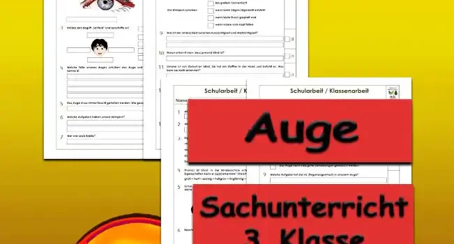Arbeitsblatt Klassenarbeit Auge - Kostenloses Unterrichtsmaterial von Legakulie.info.