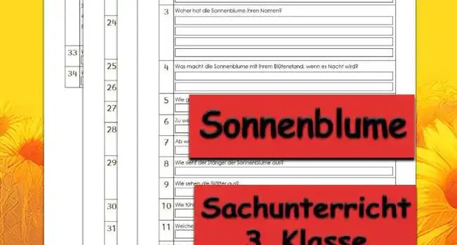 Übungsfragen Sonnenblume Arbeitsblatt Übungsfragen Sonnenblume - Kostenloses Unterrichtsmaterial von Legakulie.info.