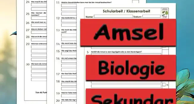 Klassenarbeit Amsel Klassenarbeit Amsel Unterrichtsmaterial - Kostenlos von Legakulie.info