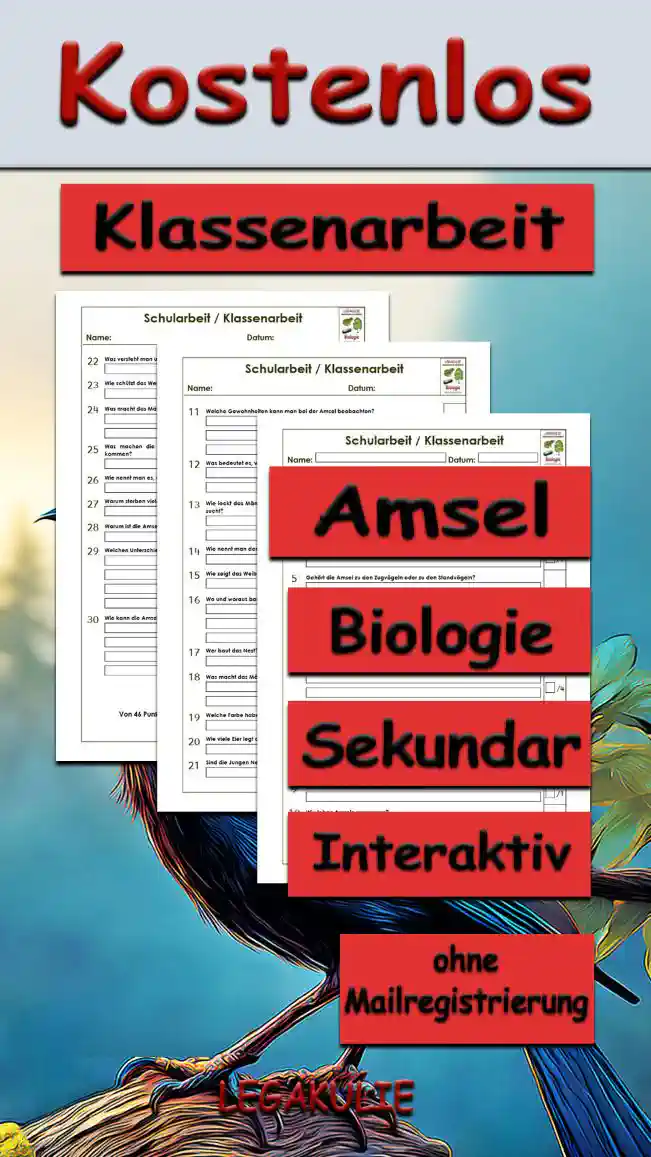 Klassenarbeit Amsel Unterrichtsmaterial - Kostenlos von Legakulie.info