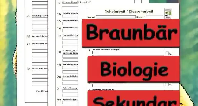 Klassenarbeit Braunbär Unterrichtsmaterial - Kostenlos von Legakulie.info