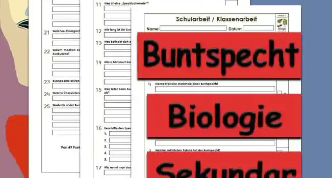 Klassenarbeit Buntspecht Unterrichtsmaterial - Kostenlos von Legakulie.info