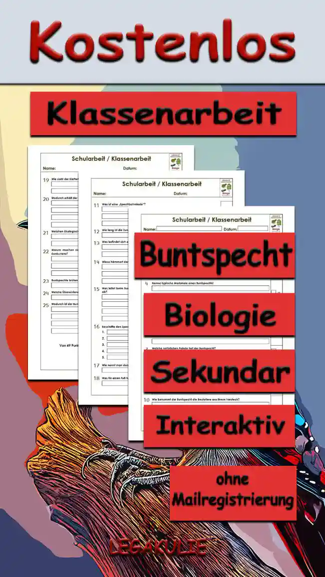 Klassenarbeit Buntspecht Unterrichtsmaterial - Kostenlos von Legakulie.info