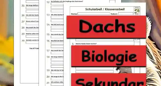 Klassenarbeit Dachs Klassenarbeit Dachs Unterrichtsmaterial - Kostenlos von Legakulie.info