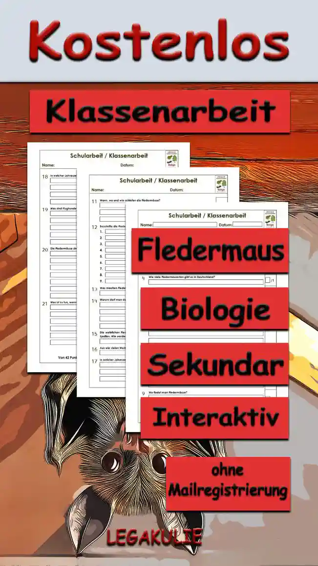 Klassenarbeit Fledermaus Unterrichtsmaterial - Kostenlos von Legakulie.info
