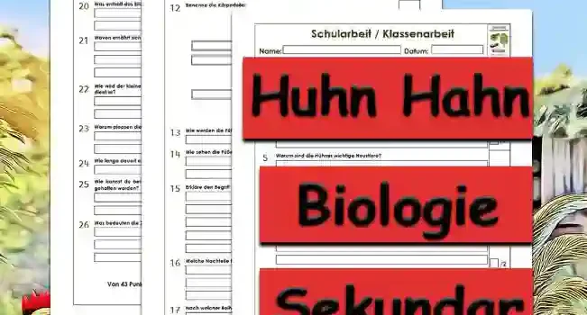 Klassenarbeit Huhn Hahn Klassenarbeit Huhn Hahn Unterrichtsmaterial - Kostenlos von Legakulie.info