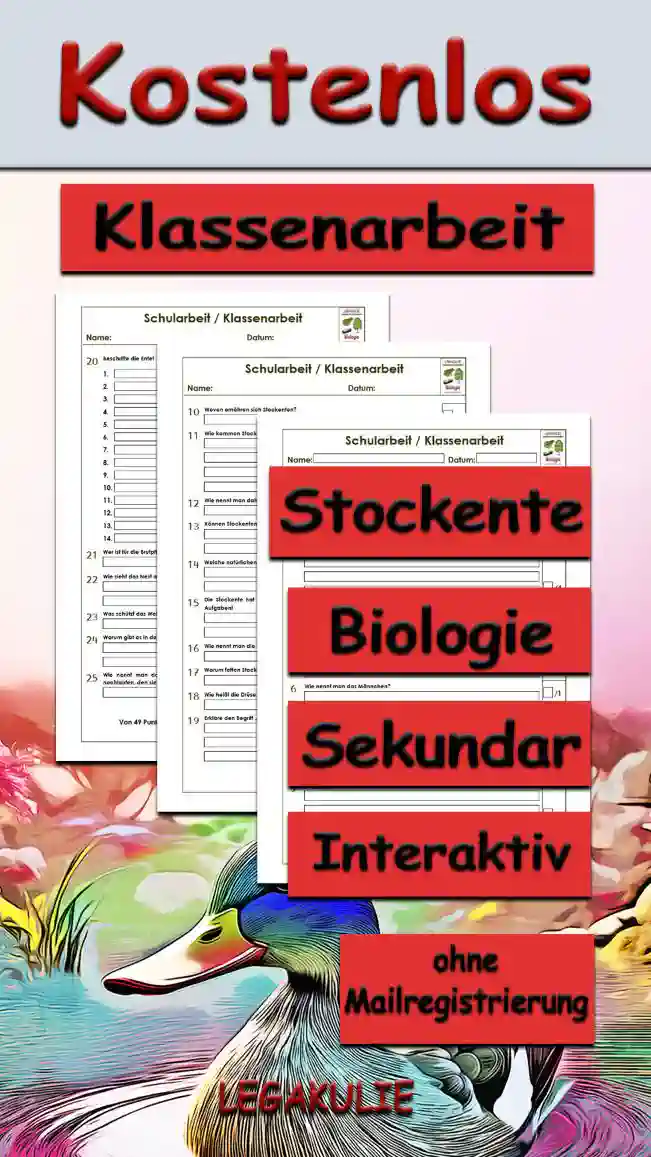 Klassenarbeit Stockente Unterrichtsmaterial - Kostenlos von Legakulie.info