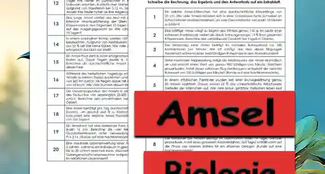 Textaufgaben Amsel Textaufgaben Amsel Unterrichtsmaterial - Kostenlos von Legakulie.info