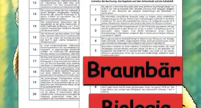 Textaufgaben Braunbär Unterrichtsmaterial - Kostenlos von Legakulie.info