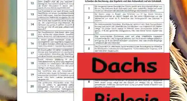 Textaufgaben Dachs Textaufgaben Dachs Sekundar Unterrichtsmaterial - Kostenlos von Legakulie.info