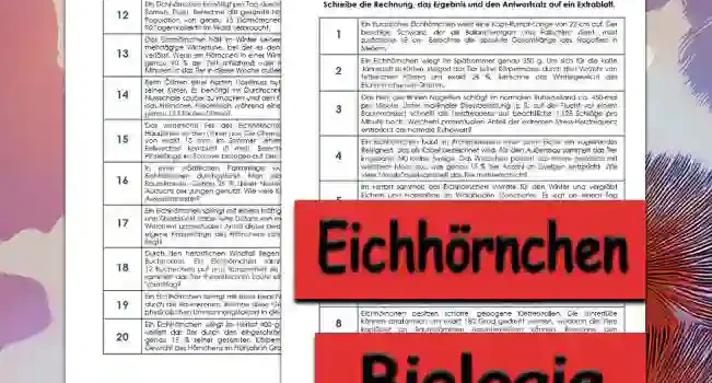 Textaufgaben Eichhörnchen Textaufgaben Eichhörnchen Unterrichtsmaterial - Kostenlos von Legakulie.info