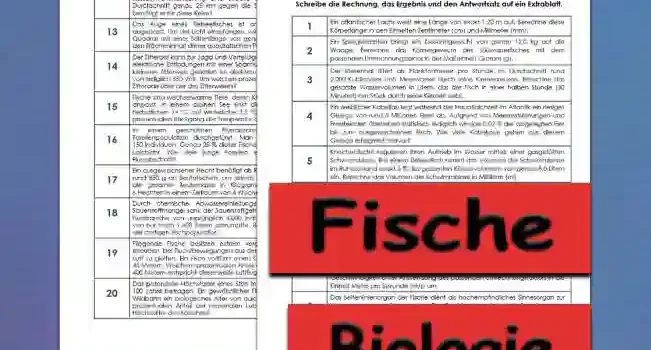 Textaufgaben Fische Textaufgaben Fische Unterrichtsmaterial - Kostenlos von Legakulie.info