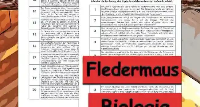 Textaufgaben Fledermaus Textaufgaben Fledermaus Unterrichtsmaterial - Kostenlos von Legakulie.info