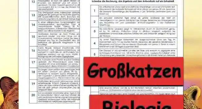 Textaufgaben Grosskatzen Unterrichtsmaterial - Kostenlos von Legakulie.info