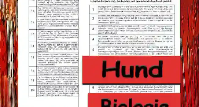 Textaufgaben Hund Unterrichtsmaterial - Kostenlos von Legakulie.info