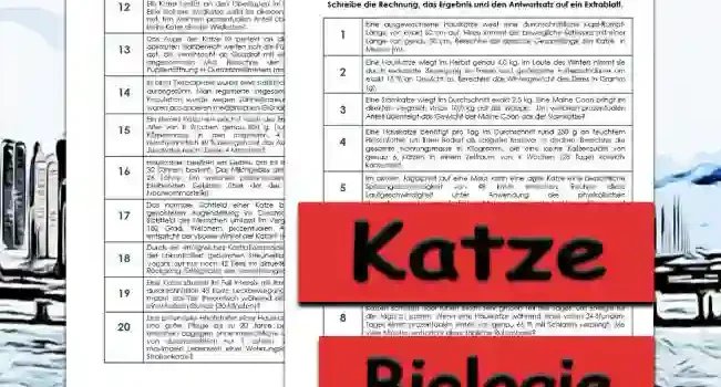 Textaufgaben Katze Unterrichtsmaterial - Kostenlos von Legakulie.info