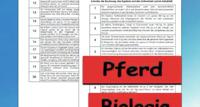 Textaufgaben Pferd Unterrichtsmaterial - Kostenlos von Legakulie.info