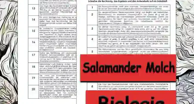 Textaufgaben Salamander Molch Unterrichtsmaterial - Kostenlos von Legakulie.info