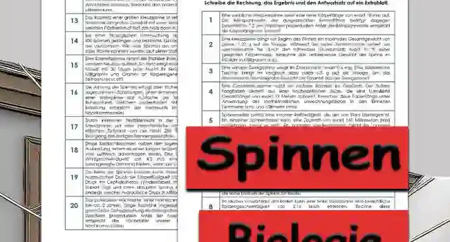 Textaufgaben Spinnen Sekundar Unterrichtsmaterial - Kostenlos von Legakulie.info