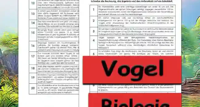Textaufgaben Vogel Sekundar Unterrichtsmaterial - Kostenlos von Legakulie.info