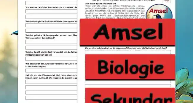 Textverständnis Amsel Unterrichtsmaterial - Kostenlos von Legakulie.info
