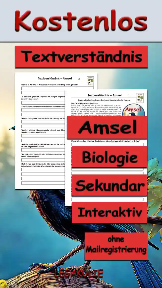Textverständnis Amsel Unterrichtsmaterial - Kostenlos von Legakulie.info