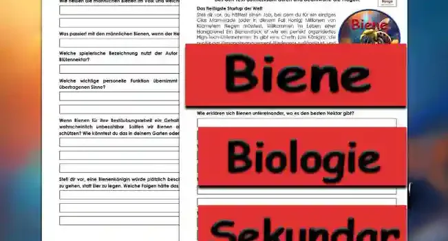 Textverständnis Biene Unterrichtsmaterial - Kostenlos von Legakulie.info