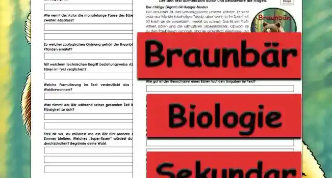 Textverständnis Braunbär Unterrichtsmaterial - Kostenlos von Legakulie.info